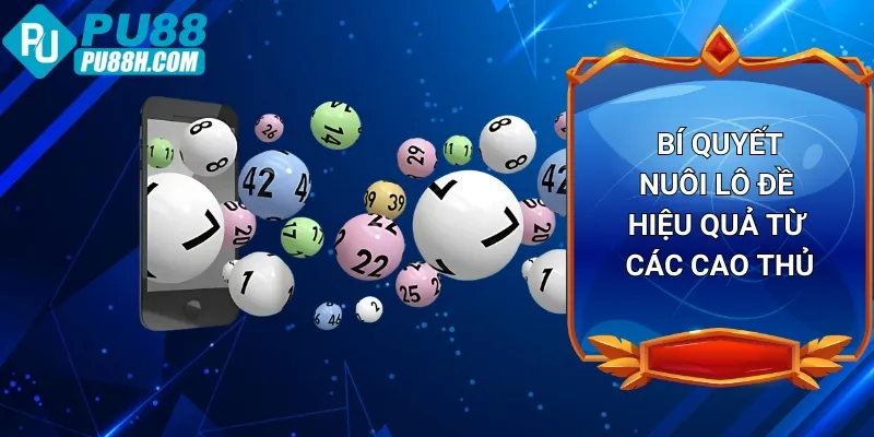 bi-quyet-nuoi-lo-de-hieu-qua-tu-cac-cao-thu